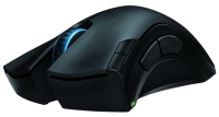 souris.jpg