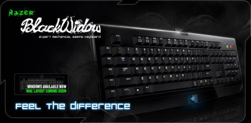 Razer BlackWindows