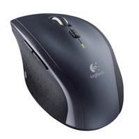 La souris