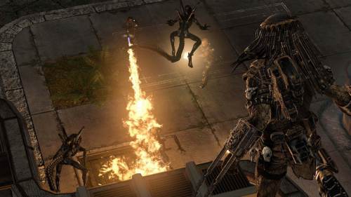 benchmark Alien Vs Predator