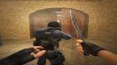 Counterstrike