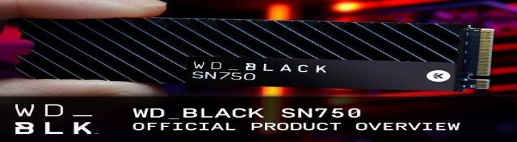 Disque SSD NVMe WD Black SN750 | Présentation officielle du produit